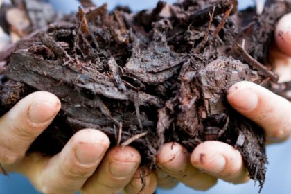 Distribution de compost à l'écocentre, samedis, Ville de Magog