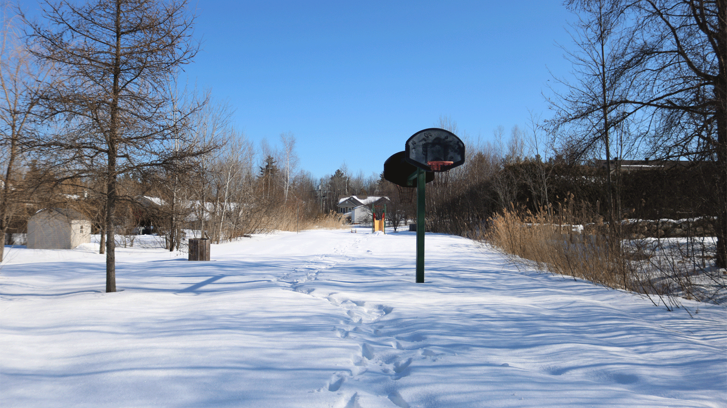 Parc des Boisés | Hiver | Ville de Magog