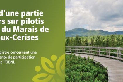 Communiqué - Réfection d’une partie des sentiers sur pilotis et du pont du Marais de la Rivière-aux-Cerises | Tenue d’un registre concernant une troisième entente de participation financière avec l’OBNL