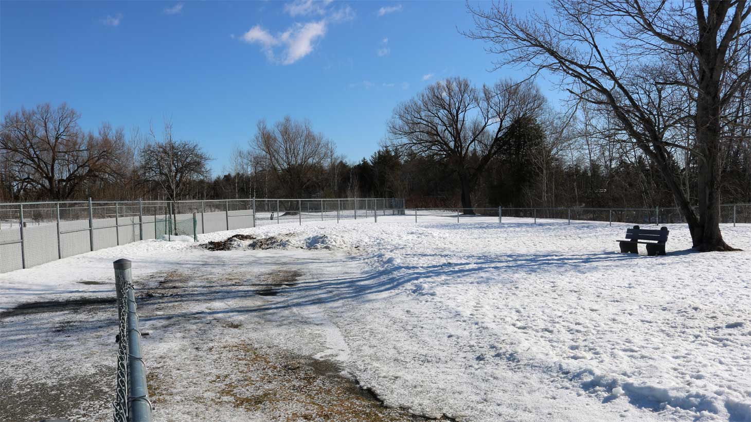 Parc canin | Hiver | Ville de Magog