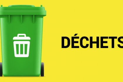 Ville de Magog | Bac vert : déchets