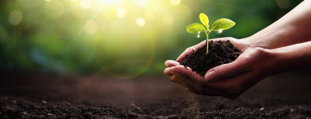 La Ville de Magog entame l’élaboration d’un plan d’adaptation aux changements climatiques