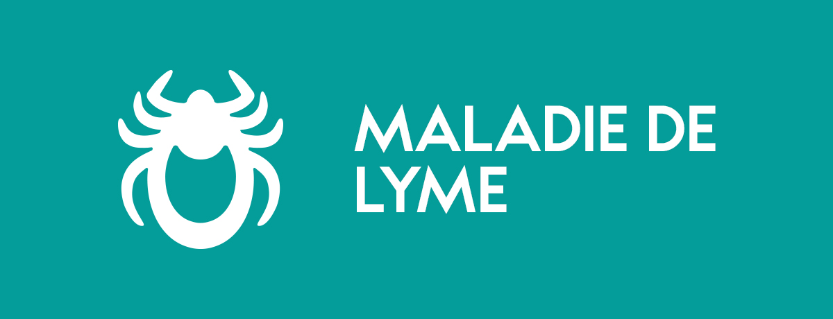 Ville de Magog | Changements climatiques - Maladie de Lyme