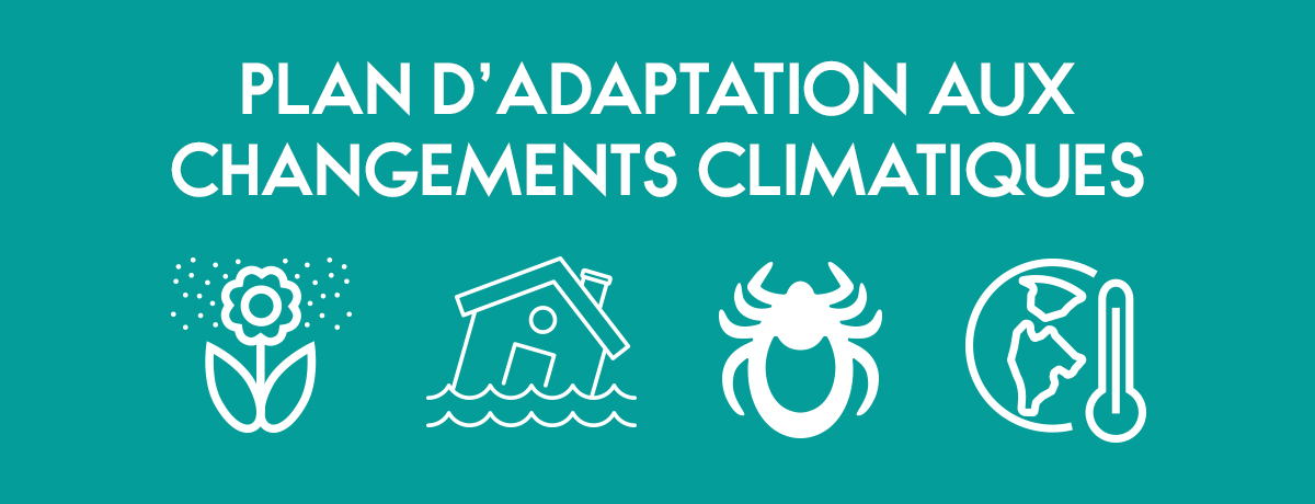 Ville de Magog | Plan d'adaptation aux changements climatiques