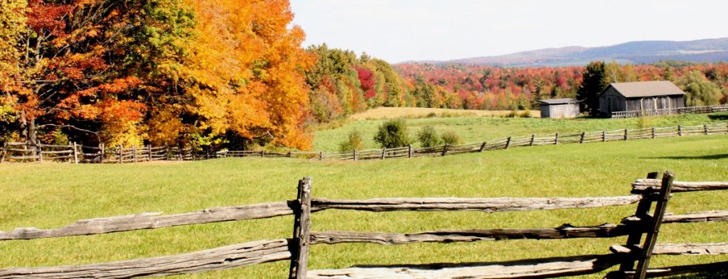 Flambée des couleurs Magog-Orford