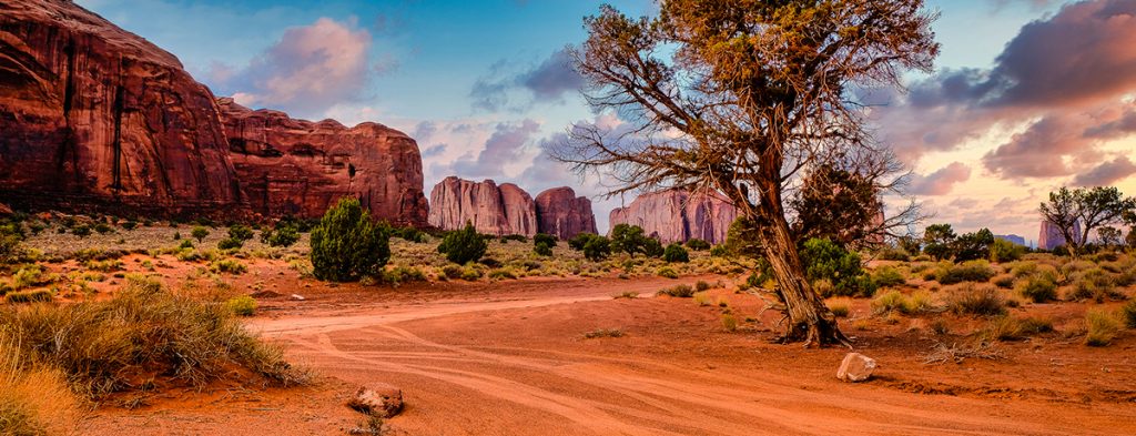 Magog Culture | Exposition collective du Club de photo de Magog - Photo : Richard Gingras