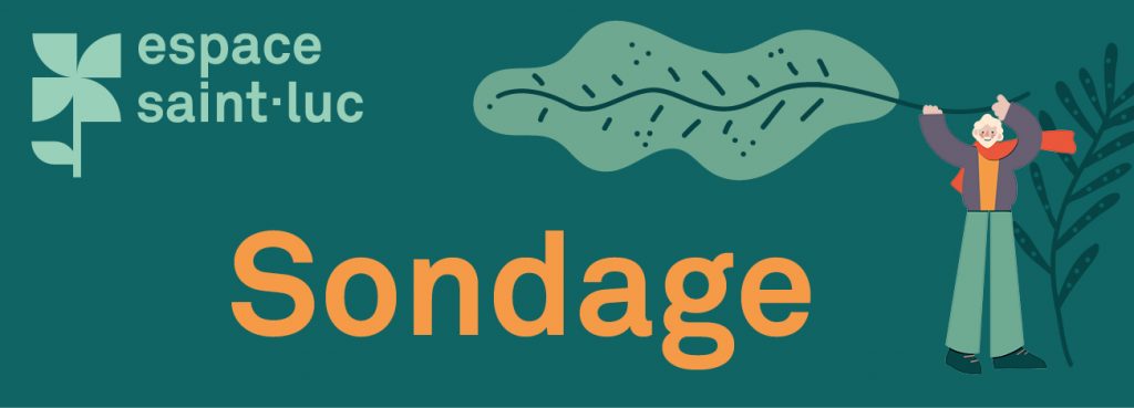 Ville de Magog | Bannière site web : Espace Saint-Luc