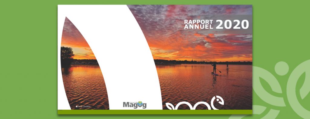 Communiqué - Rapport annuel de la direction générale 2020