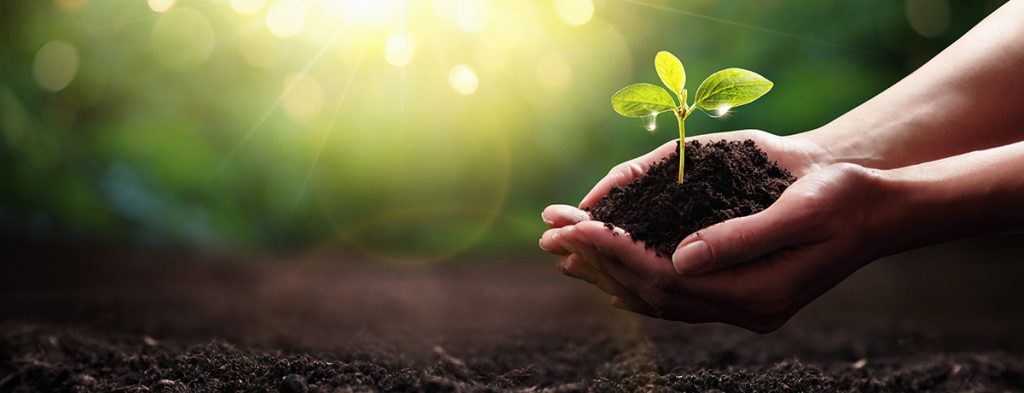 Communiqué - Programme d'écoresponsabilité des ICI