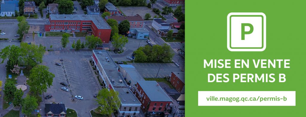 Mise en vente des permis de stationnement (permis B)