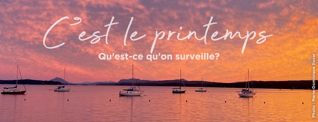 C'est le printemps! Qu'est-ce qu'on surveille?