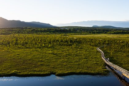 Communiqué - La Ville de Magog souhaite protéger les 132 hectares du marais de la Rivière aux Cerises à perpétuité