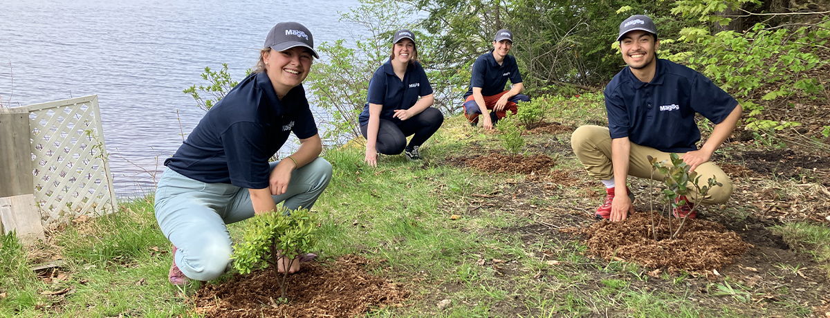 Communiqué - La Ville de Magog dresse un bilan de ses actions en faveur de l’environnement