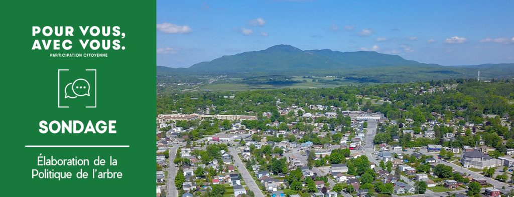 Communiqué - La Ville de Magog élabore sa Politique de l’arbre | Les Magogois invités à répondre à un sondage