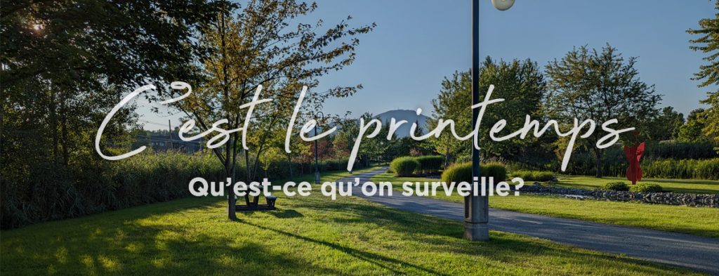 Actualité - C’est le printemps! Qu’est-ce qu’on surveille?