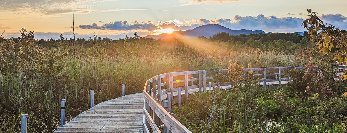 Sentiers sur pilotis du Marais de la Rivière-aux-Cerises