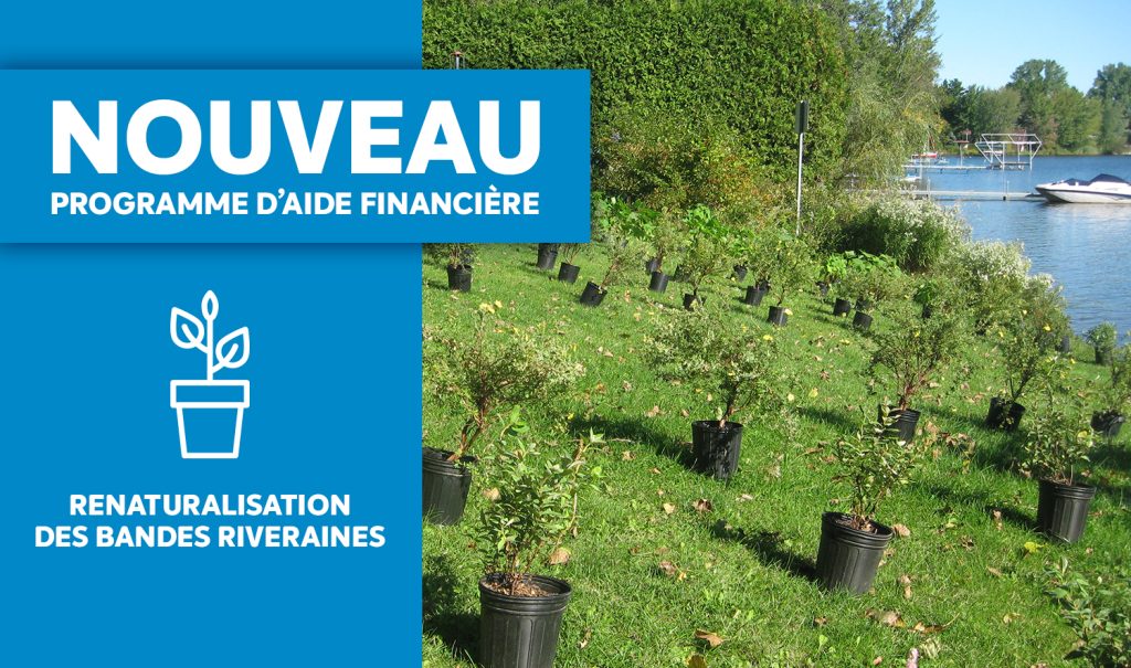 Nouveau programme d'aide financière pour la renaturalisation des bandes riveraines