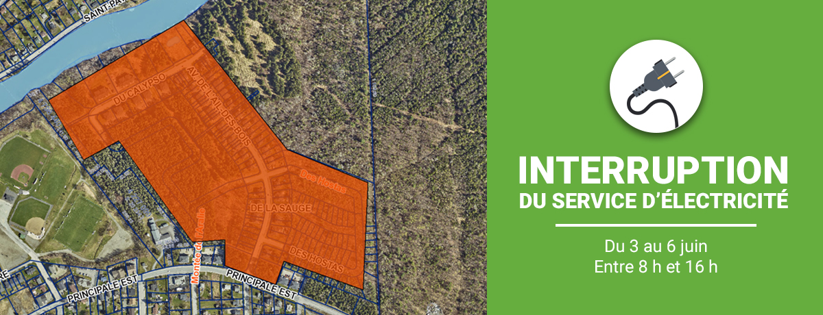 Communiqué - Interruptions sporadiques de courant du 3 au 6 juin | Secteur Ail-des-Bois, des Hostas, de la Sauge et du Calypso