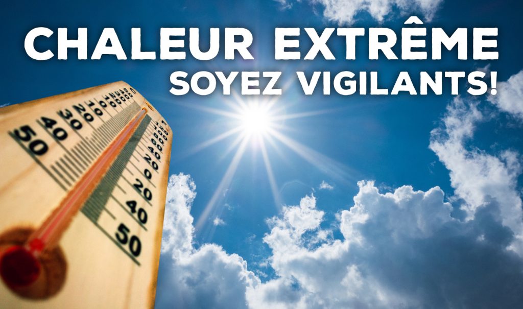 Chaleur extrême - Soyez vigilants
