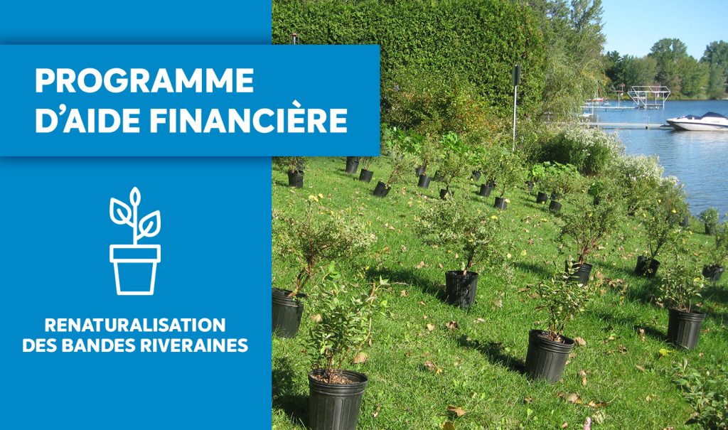 Programme d’aide financière | Achat d’arbres et d’arbustes pour la revégétalisation des bandes riveraines