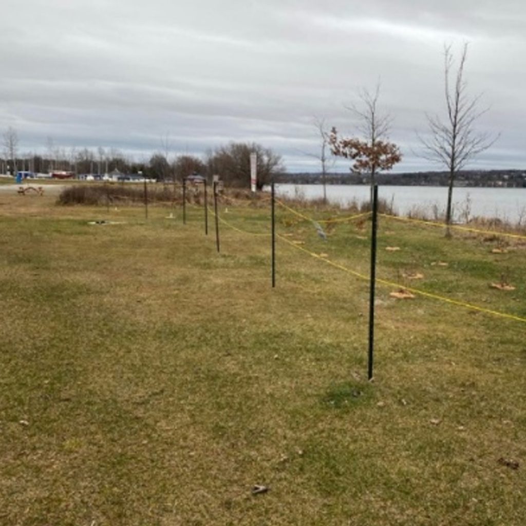 Plage des Cantons - Renaturalisation des bandes riveraines