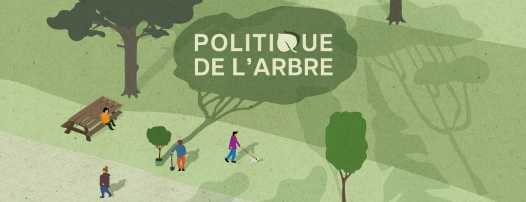 Politique de l'arbre - Ville de Magog