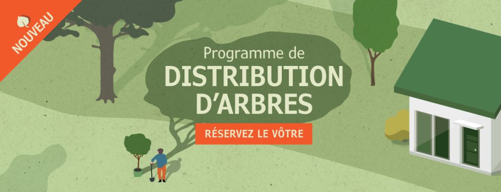 Nouveau programme de distribution d’arbres | Reverdir la ville et améliorer sa propriété gratuitement : c’est possible!