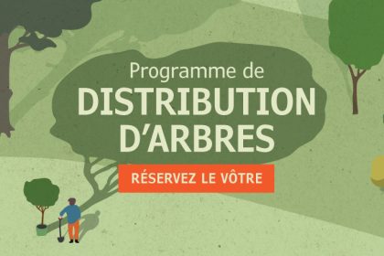Nouveau programme de distribution d’arbres | Reverdir la ville et améliorer sa propriété gratuitement : c’est possible!