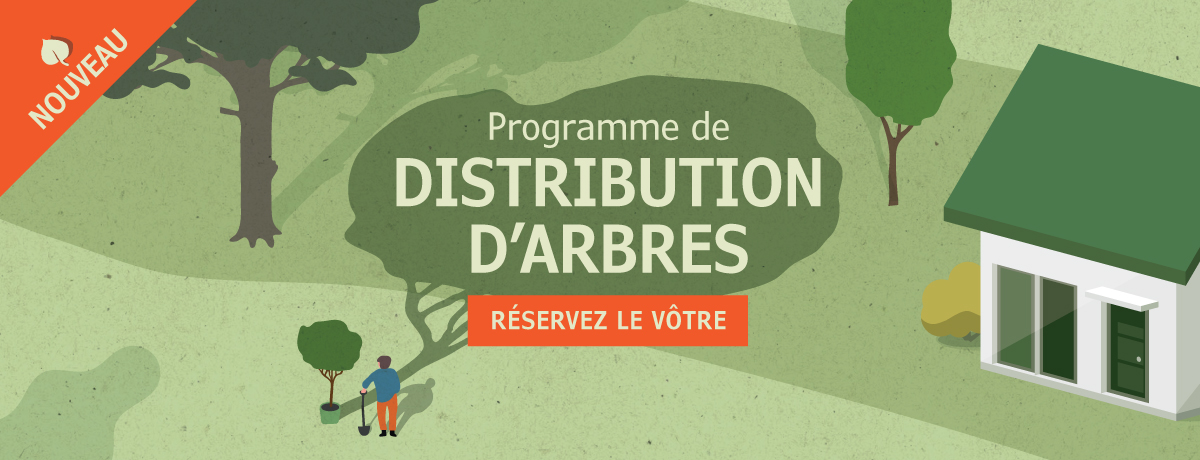 Nouveau programme de distribution d’arbres | Reverdir la ville et améliorer sa propriété gratuitement : c’est possible!