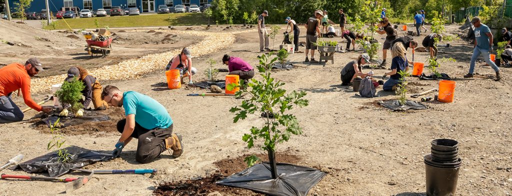 Espace Saint-Luc - Plantation sociale