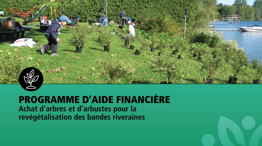 Programme d’aide financière | Achat d’arbres et d’arbustes pour la revégétalisation des bandes riveraines
