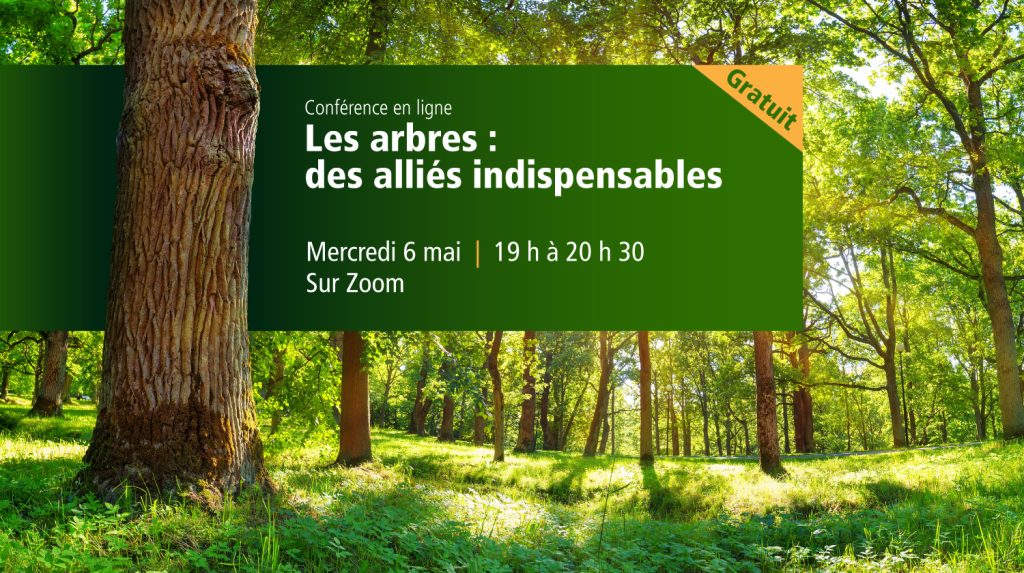 Conférence en ligne Les arbres : des alliés indispensables