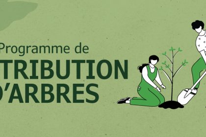 Communiqué - Programme de distribution d’arbres pour les propriétés privées | 400 arbres offerts aux citoyens lors de la distribution printanière