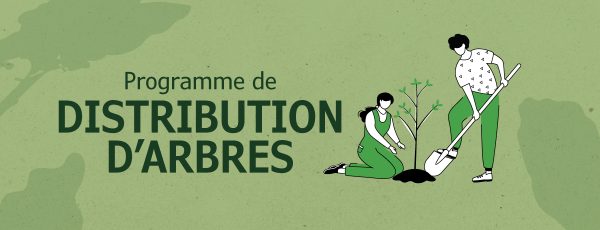 Communiqué - Programme de distribution d’arbres pour les propriétés privées | 400 arbres offerts aux citoyens lors de la distribution printanière