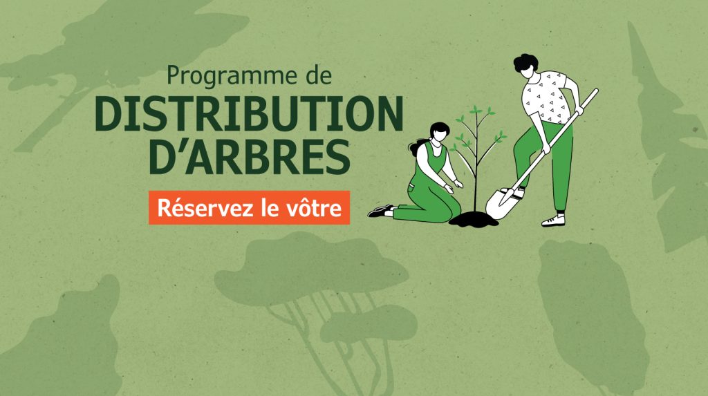 Programme de distribution d'arbres - 2026